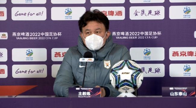 国产精品系列在线